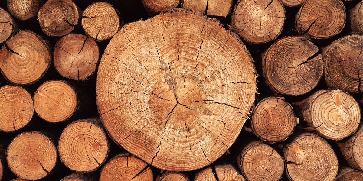 Wood Logs