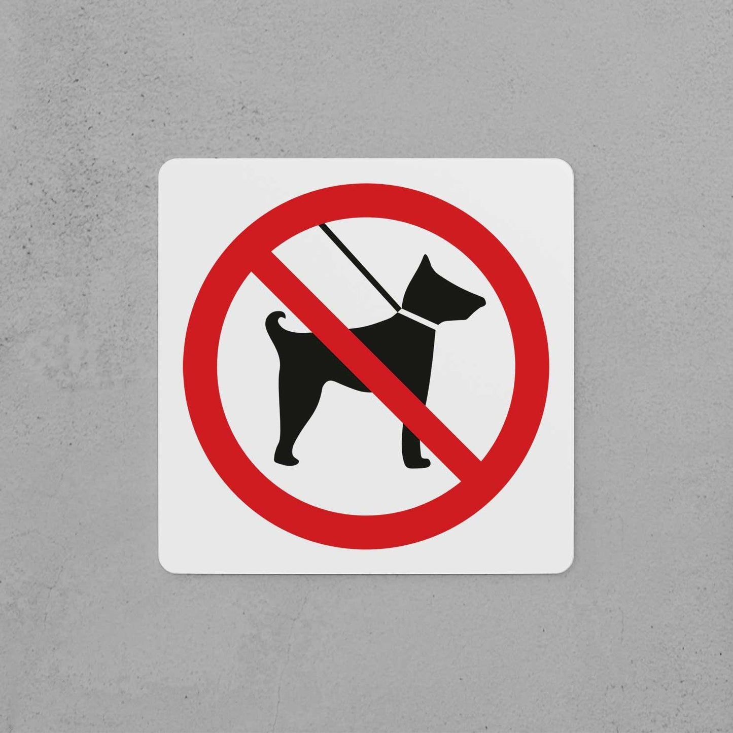 No Pets Allowed Sign - Housenama
