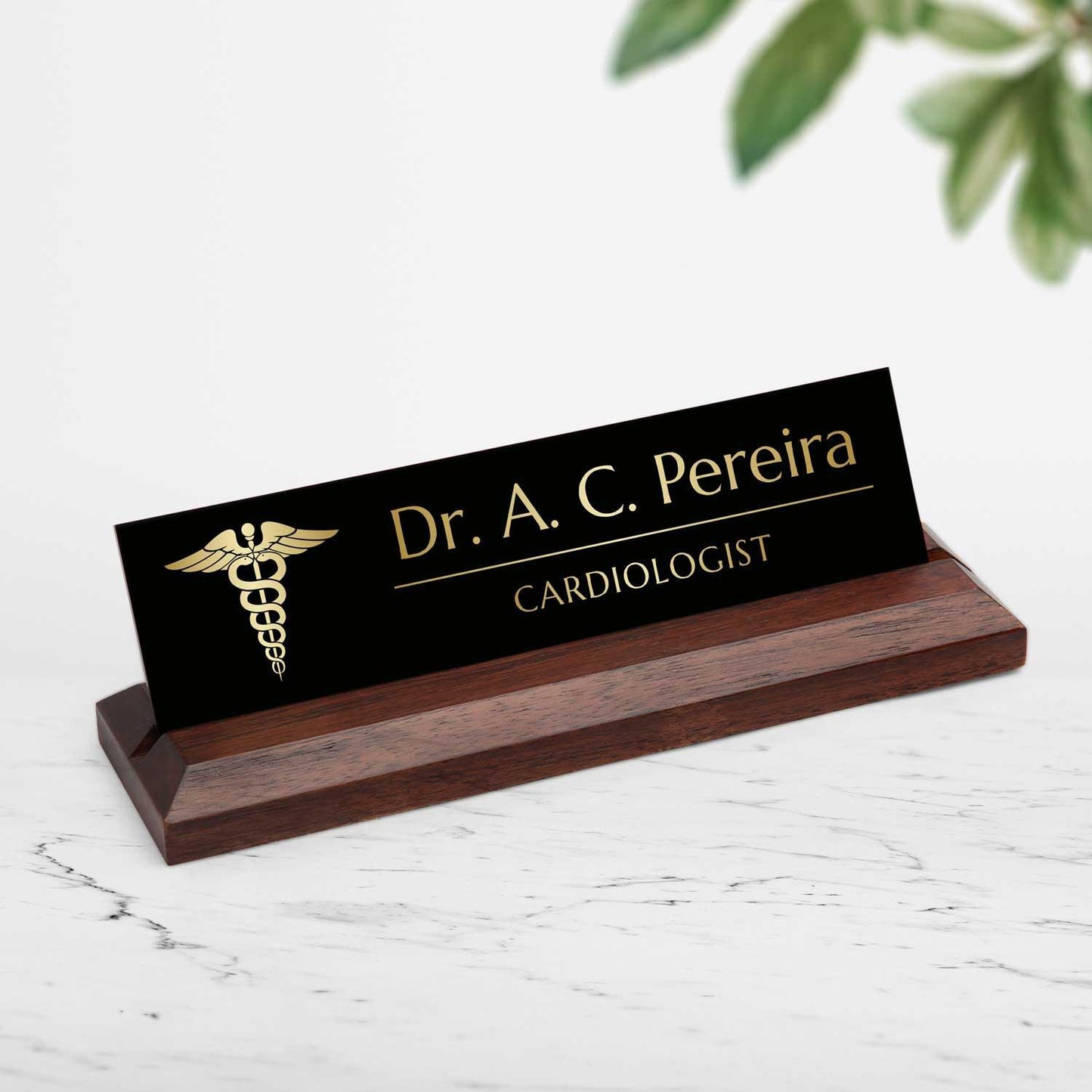 Excelus Office Desk Name Plate - Doctor - Housenama