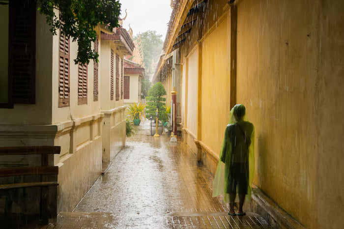 Monsoon