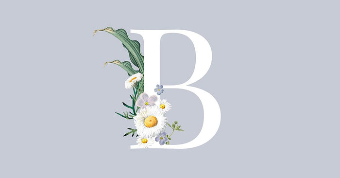 Indian surnames starting with B and their meanings - Housenama