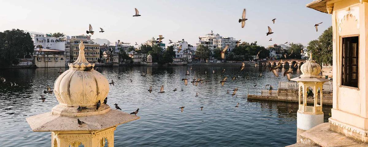 Week 149-150 | Jul 22, 2024 - Aug 3, 2024