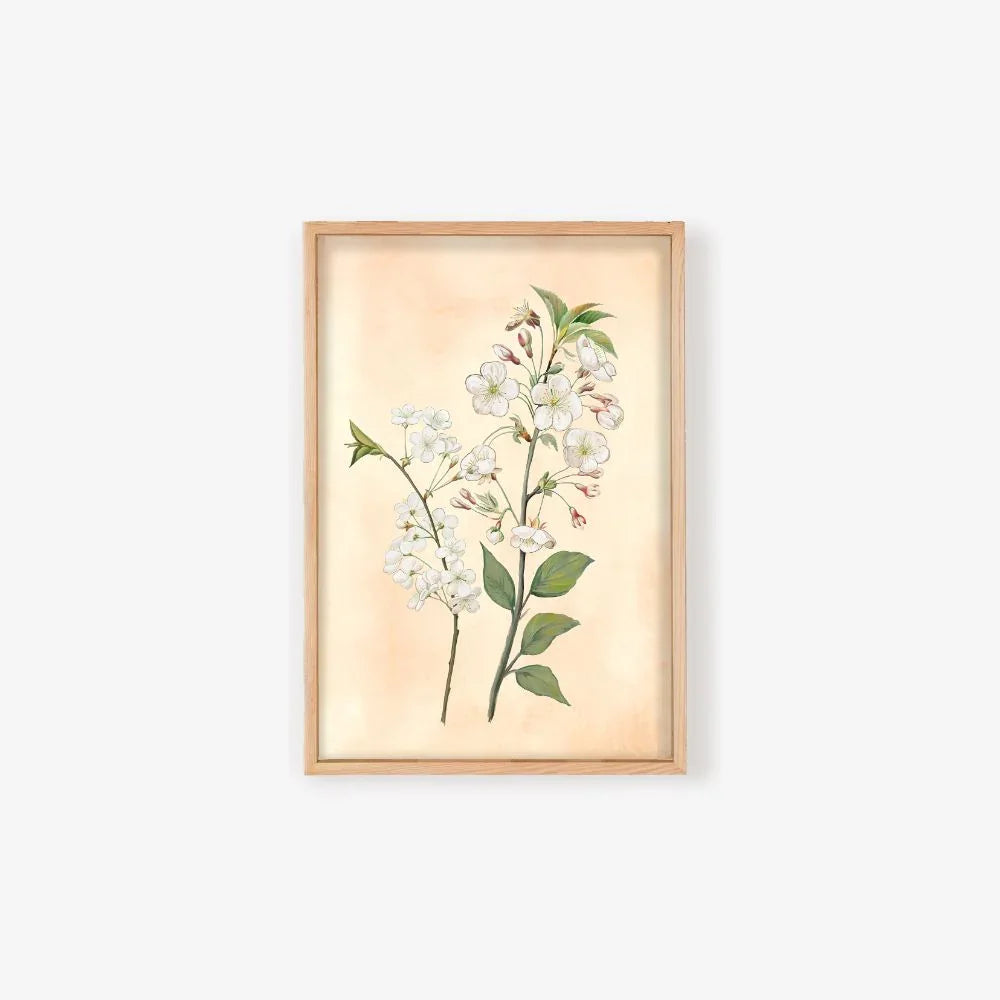 Midnight Petals - Floral Canvas Art Print