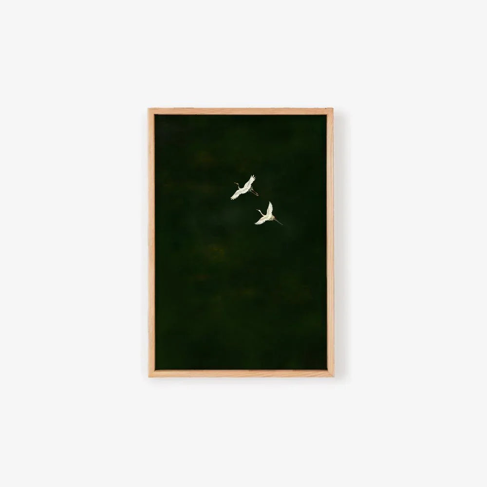 Soaring Grace - Minimalist Canvas Art Print